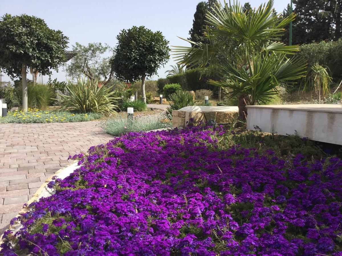 مبيت وإفطار أغريجنتو Il Colle Del Rustico المظهر الخارجي الصورة